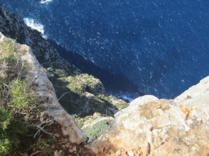 IMG_5068 (Medium)